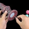 GD2142-ORF Pandora Ovipositor (Pump) - Image 5