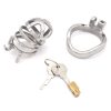 FRRK-06C Curved Ring 304 Stainless Steel Chastity Cage - Image 5