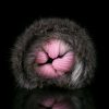 G-F6231 Artificial Animal Cat Pussy Design Silicone Masturbators Ass Doll For Men - Image 5