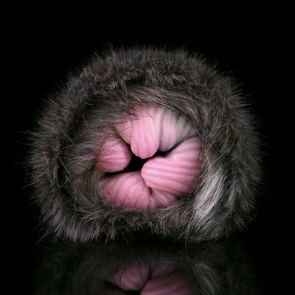 G-F6231 Artificial Animal Cat Pussy Design Silicone Masturbators Ass Doll For Men - Image 5