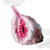 GEEBA G6188 Fantasy Plant-Hydatid masturbations - Image 7