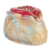 GEEBA G6205 fantasy Masturbators for men - Image 5