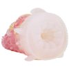 GEEBA-6509 Dream conch masturbations for men - Image 4