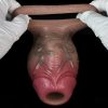 S8109 Soft Cock Penis Sleeve for Man - Image 6