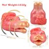 GEEBA-6606 Nine-tailed Fox Masturbators For men - Image 2