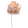 QKKQ-Y8112 Sexual Breast Delightful Pressure - Image 4