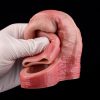 OS-ADL5030 Constantine Realistic Cock Sleeve for Male Sex Toy - Image 4