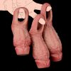 OS-ADL5023 Sargon I Cock Sleeve for Male Masturbators