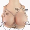 QKKQ-C8020 Nipple Clamps Butterfly Double Clip - Image 2