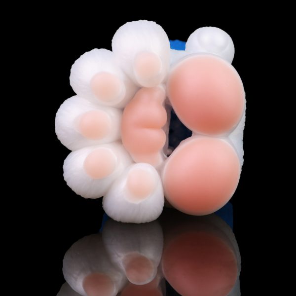 G6265 Bear paw Colorful Dildo Masturbators For Men - Image 5